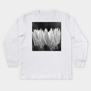 Monochrome Protea Flower - Hampton Style Kids Long Sleeve T-Shirt